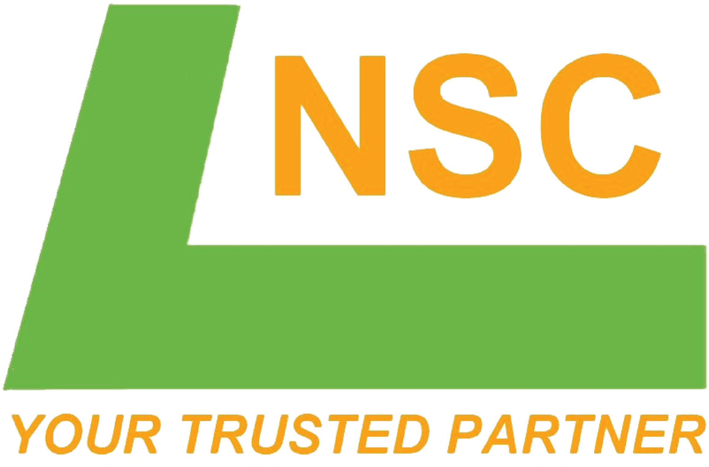 Nam Son Logo